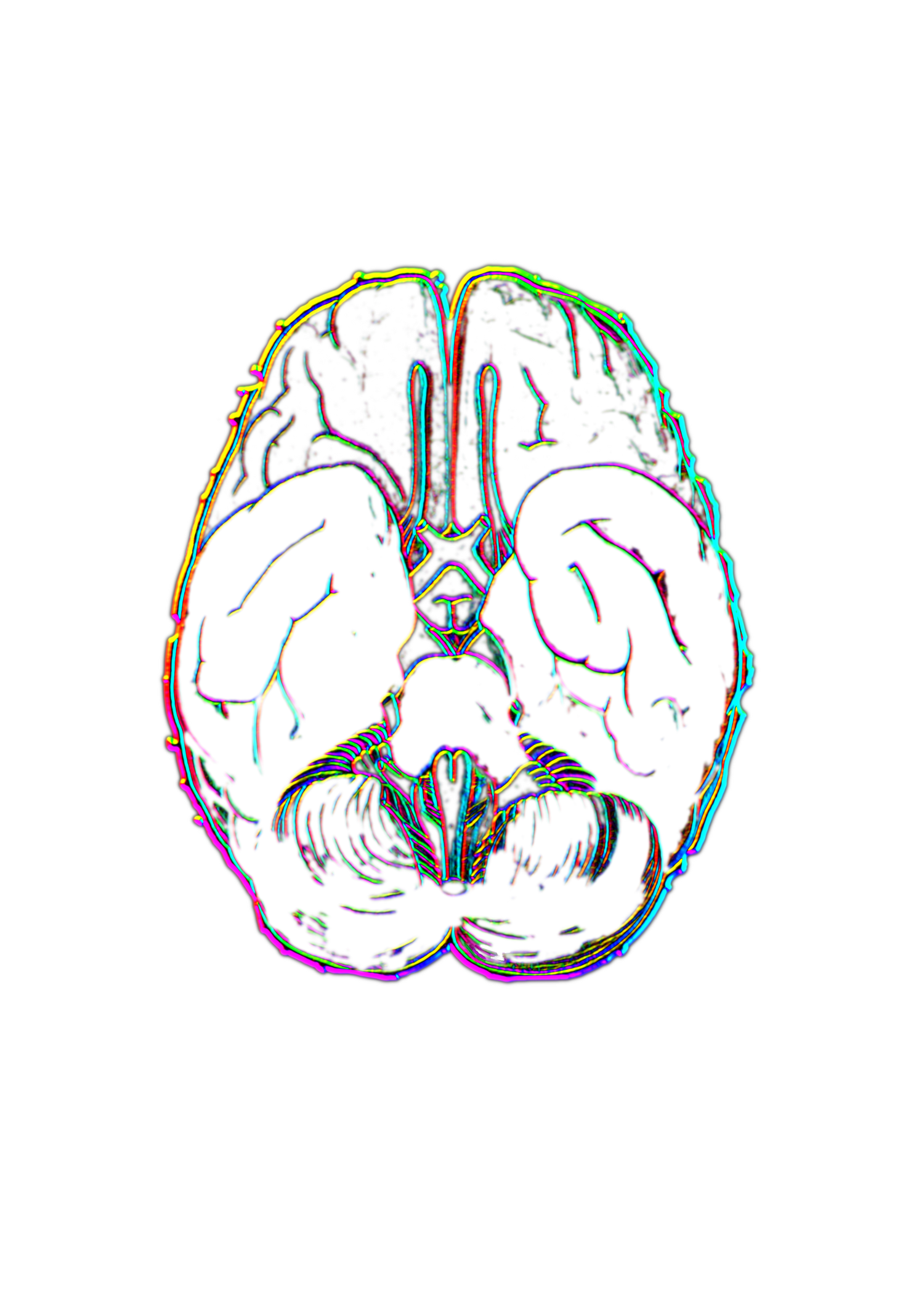 Braincolor No. 1